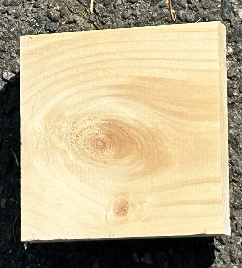 A knot in a piece of pine, circled and labeled in the source photograph.