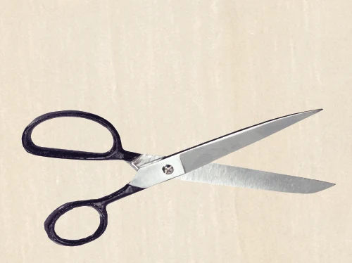 Scissors with two handles and open blades from the Maplewoodshop tools poster.